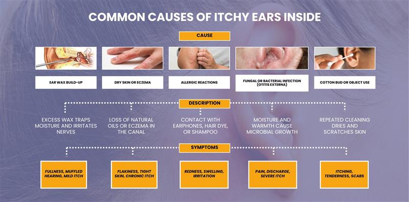 Infographic detailing common itchy ear causes, descriptions (e.g., moisture, oils), and symptoms